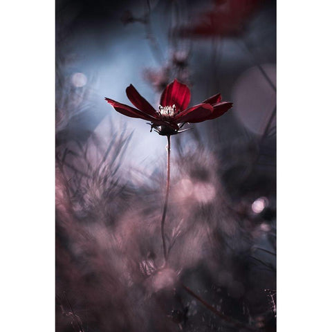 Tenue De Soirace Gold Ornate Wood Framed Art Print with Double Matting by Bravin, Fabien