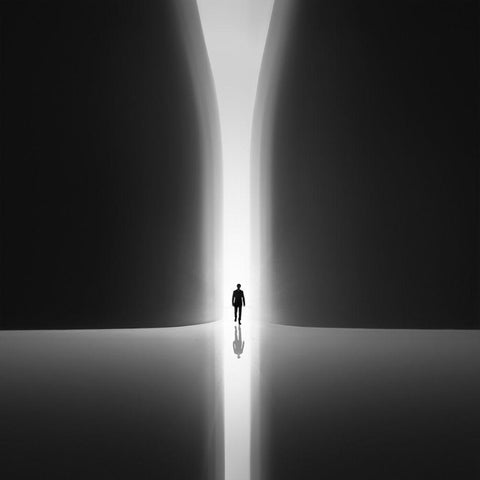 Rebirth Black Modern Wood Framed Art Print by Jonas, Nadav