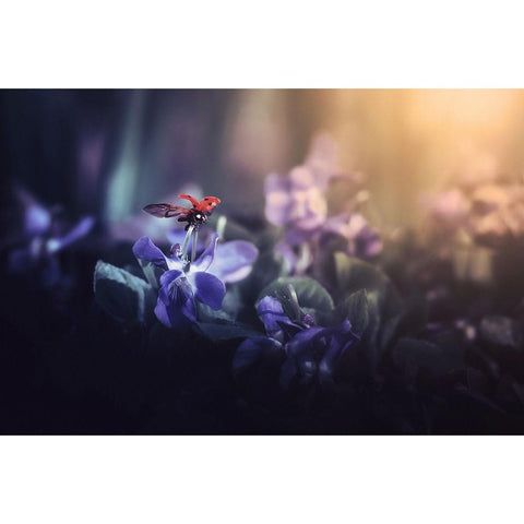 Leaving Wonderland Gold Ornate Wood Framed Art Print with Double Matting by Andras, Pasztor