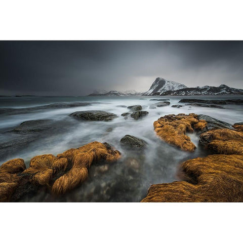 Stormy Black Modern Wood Framed Art Print with Double Matting by Hoffmann, Raymond