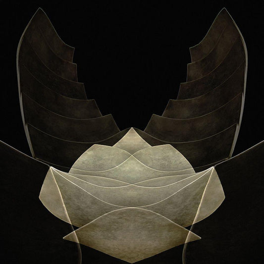 Image Only
