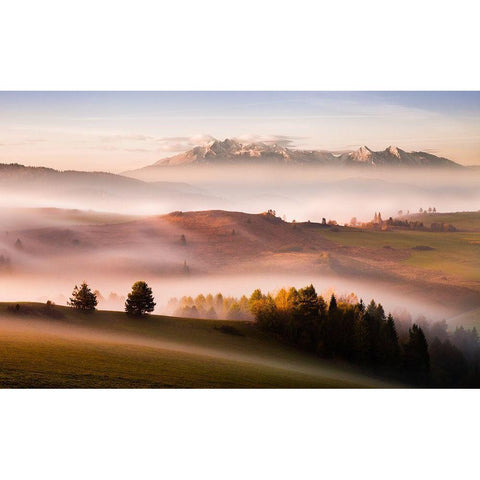 Just A Silence Black Modern Wood Framed Art Print by Svoboda Mqep, Peter