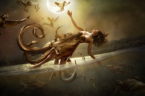 Diversity Black Ornate Wood Framed Art Print with Double Matting by Kiciak, Christophe