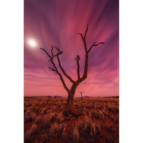 Magic Moments Black Modern Wood Framed Art Print by Hoffmann, Raymond