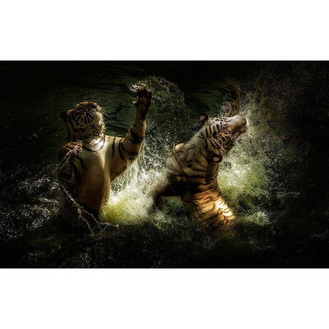 Fighting Black Modern Wood Framed Art Print with Double Matting by Bunjamin, Antonyus