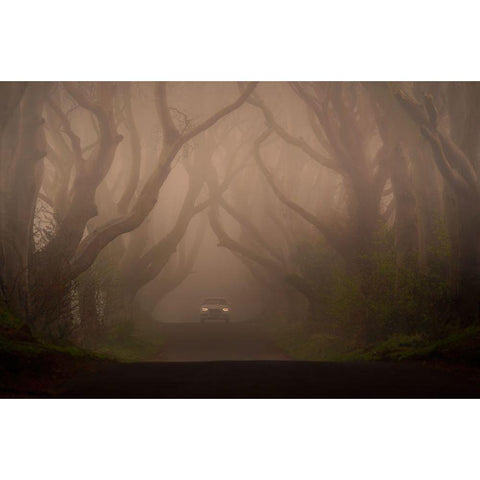 On The Foggy Alley. White Modern Wood Framed Art Print by Galus, Piotr