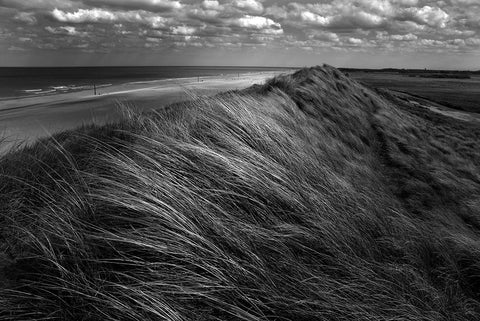 Dunes Hair. Black Ornate Wood Framed Art Print with Double Matting by Pardo, Katarzyna