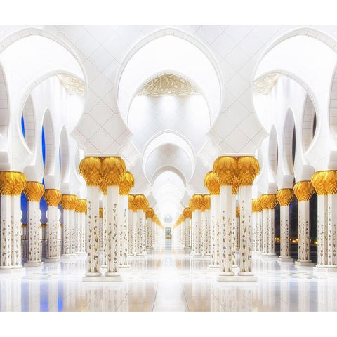 White And Gold Gold Ornate Wood Framed Art Print with Double Matting by Raof, Mohamed