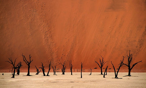 Deadvlei White Modern Wood Framed Art Print with Double Matting by Hawerkamp, Hans-Wolfgang