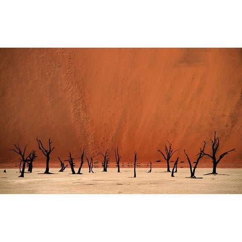 Deadvlei Black Modern Wood Framed Art Print with Double Matting by Hawerkamp, Hans-Wolfgang