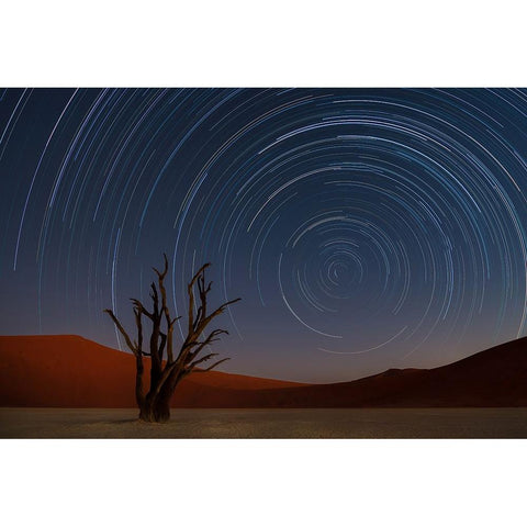 Star Trails Of Namibia White Modern Wood Framed Art Print by Deakin, Karen