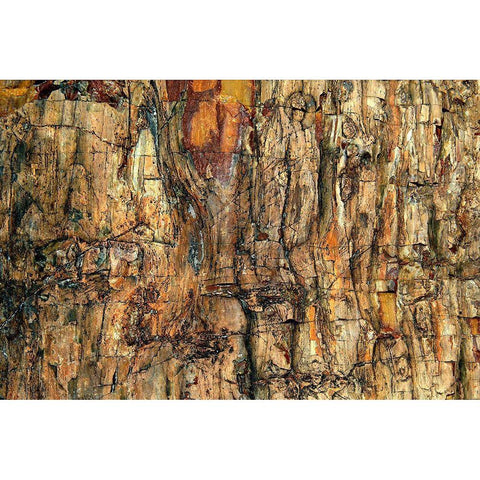 Bark Gold Ornate Wood Framed Art Print with Double Matting by Kravanja, Jure