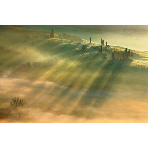 Mist... White Modern Wood Framed Art Print by Browko, Krzysztof