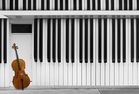 Cello At The Door White Modern Wood Framed Art Print with Double Matting by Hammer, Jacqueline