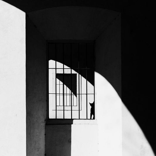 Image Only