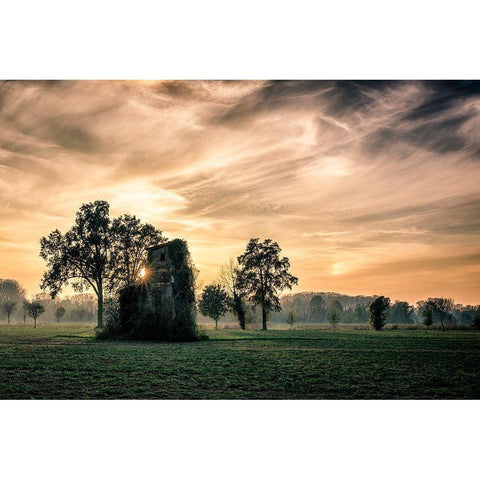 Old Abandoned House Covered By Vegetation At Sunset Black Modern Wood Framed Art Print with Double Matting by Bondioli, Denis