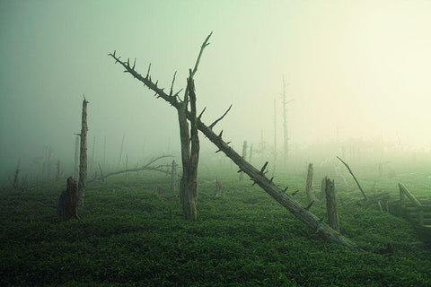 Beautiful Rot White Modern Wood Framed Art Print with Double Matting by Sugimoto, Koji