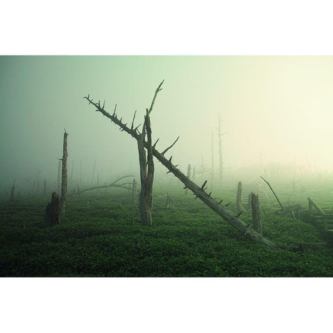 Beautiful Rot Black Modern Wood Framed Art Print by Sugimoto, Koji