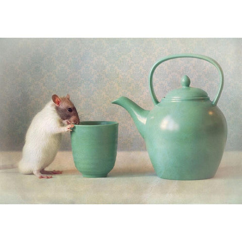 The Teapot White Modern Wood Framed Art Print by van Deelen, Ellen