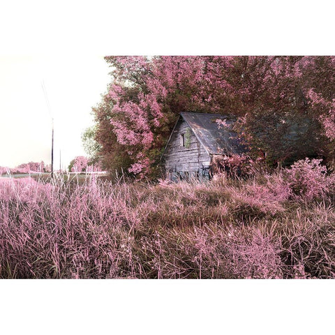 Pink Landscape 7 Black Modern Wood Framed Art Print by Entropy, Timothy