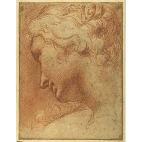 The Head of a Young Woman  Black Modern Wood Framed Art Print with Double Matting by Caracci, Agostino