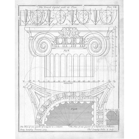 The Ionic Capital Gold Ornate Wood Framed Art Print with Double Matting by Langley, Batty