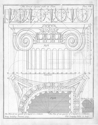 The Ionic Capital White Modern Wood Framed Art Print with Double Matting by Langley, Batty