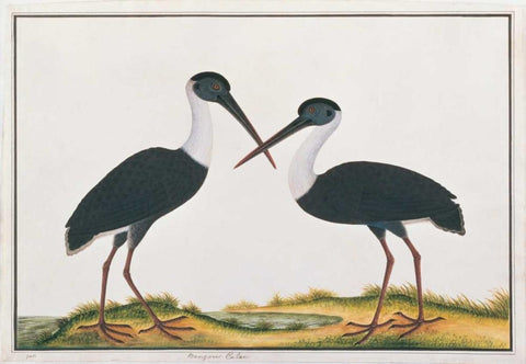 Bangou Eatan, Crane White Modern Wood Framed Art Print with Double Matting by Anonymous