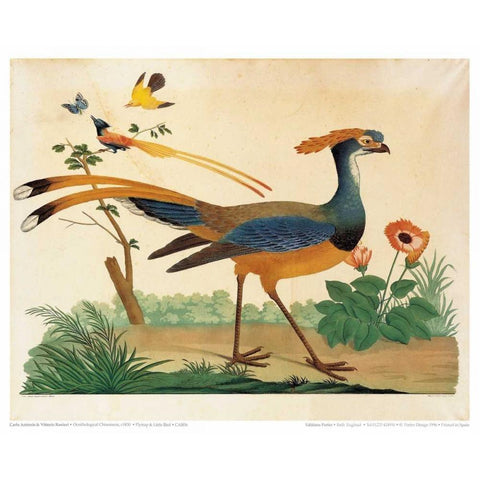 Flytrap, Little bird and Butterfly Gold Ornate Wood Framed Art Print with Double Matting by Raineri, Carlo, Vittorio