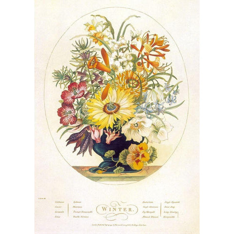 Winter Gold Ornate Wood Framed Art Print with Double Matting by Obrien, Charles