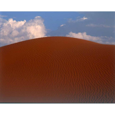 Sand Dune, Sahara White Modern Wood Framed Art Print by Blue, Cyril