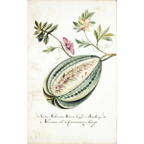 Watermelon, Leaves, Butterfly Gold Ornate Wood Framed Art Print with Double Matting by Markee, Cornelis