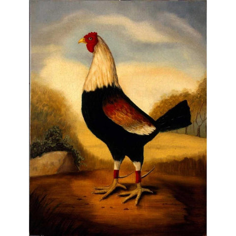 First Fighting Cock Black Modern Wood Framed Art Print with Double Matting by Churchill, Alexandra