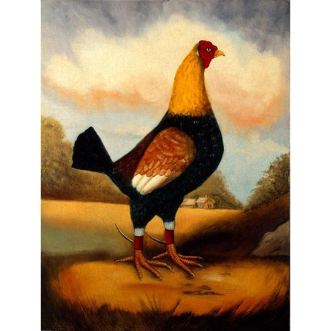 Second Fighting Cock Gold Ornate Wood Framed Art Print with Double Matting by Churchill, Alexandra