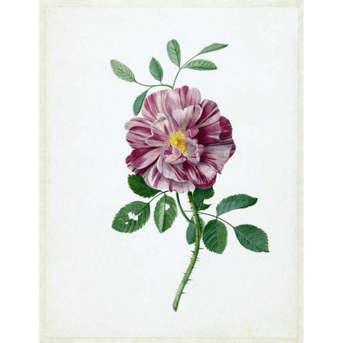 Rose Gold Ornate Wood Framed Art Print with Double Matting by De Bray, Dirck