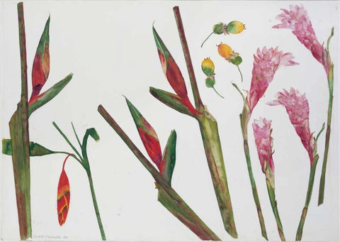 Heliconia, Passion Fruit and Ginger White Modern Wood Framed Art Print with Double Matting by Blackadder, Elizabeth