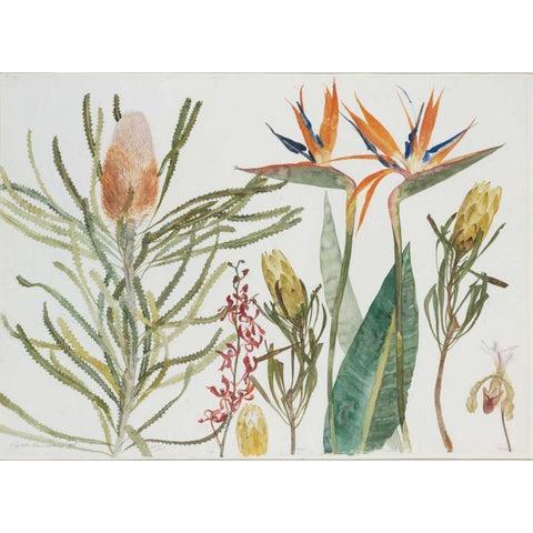 Strelizia, Banksia and Orchids Gold Ornate Wood Framed Art Print with Double Matting by Blackadder, Elizabeth