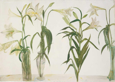 Green and White Lilies White Modern Wood Framed Art Print with Double Matting by Blackadder, Elizabeth