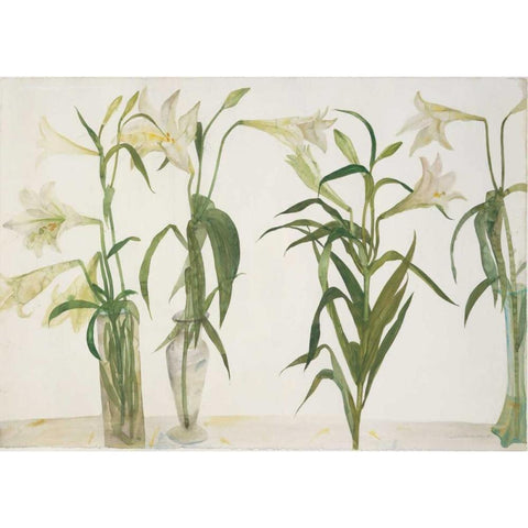 Green and White Lilies Black Modern Wood Framed Art Print by Blackadder, Elizabeth