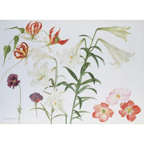 Lilies and Begonias Gold Ornate Wood Framed Art Print with Double Matting by Blackadder, Elizabeth
