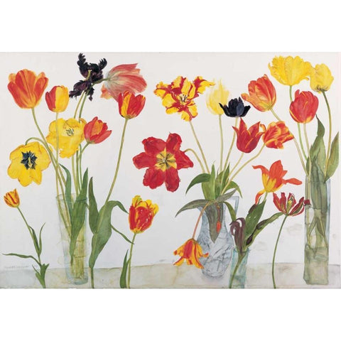 Red and Yellow Tulips White Modern Wood Framed Art Print by Blackadder, Elizabeth