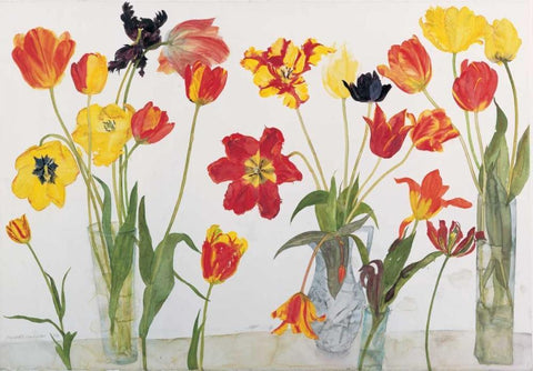 Red and Yellow Tulips White Modern Wood Framed Art Print with Double Matting by Blackadder, Elizabeth