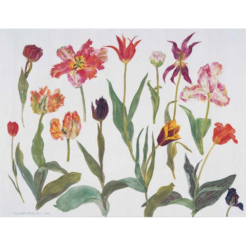 Tulips Gold Ornate Wood Framed Art Print with Double Matting by Blackadder, Elizabeth