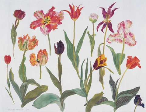 Tulips Black Ornate Wood Framed Art Print with Double Matting by Blackadder, Elizabeth