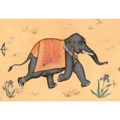 Elephant-Indian Animals Black Modern Wood Framed Art Print with Double Matting by Gynn, Fran