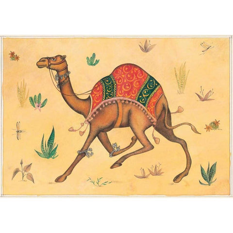 Camel-Indian Animals Black Modern Wood Framed Art Print with Double Matting by Gynn, Fran