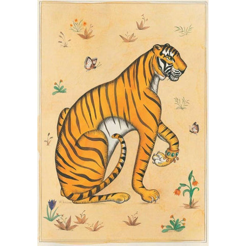 Tiger-Indian Animals Black Modern Wood Framed Art Print with Double Matting by Gynn, Fran