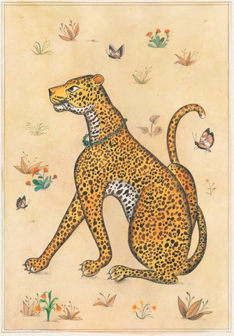 Leopard-Indian Animals White Modern Wood Framed Art Print with Double Matting by Gynn, Fran