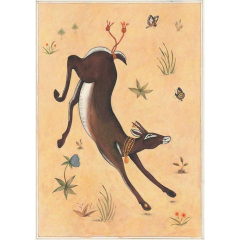 Black Deer-Doe-Indian Animals Black Modern Wood Framed Art Print with Double Matting by Gynn, Fran