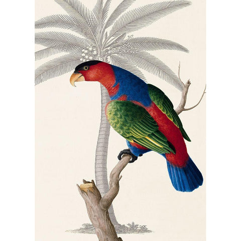 Palm/Lory Parrot Gold Ornate Wood Framed Art Print with Double Matting by Ehret-De Bevere